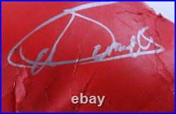 Canelo Alvarez Signed Everlast Boxing Glove (JSA) (See Description)