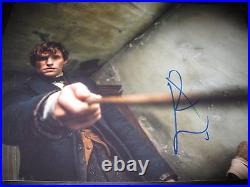 EDDIE REDMAYNE SIGNED AUTOGRAPH 11x14 PHOTO FANTASTIC BEASTS ROWLING COA AUTO D